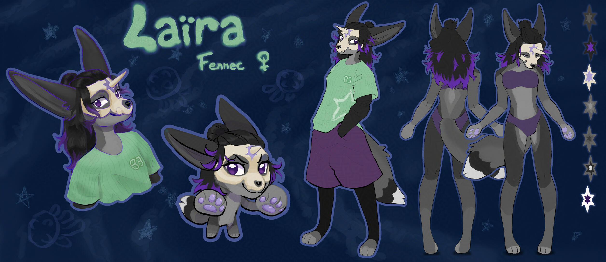 Dameir0 ref page